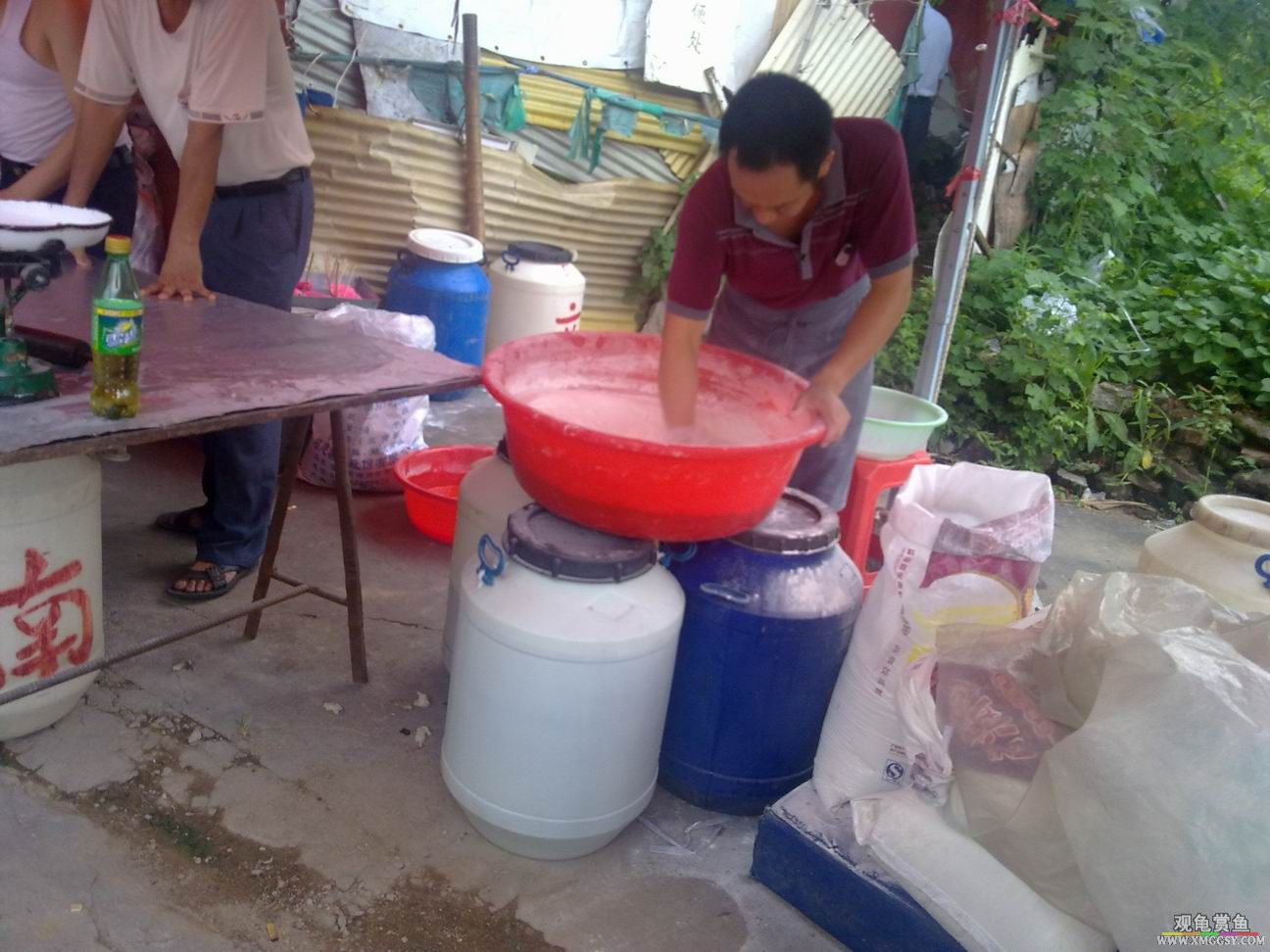 ������С 20020805793.jpg