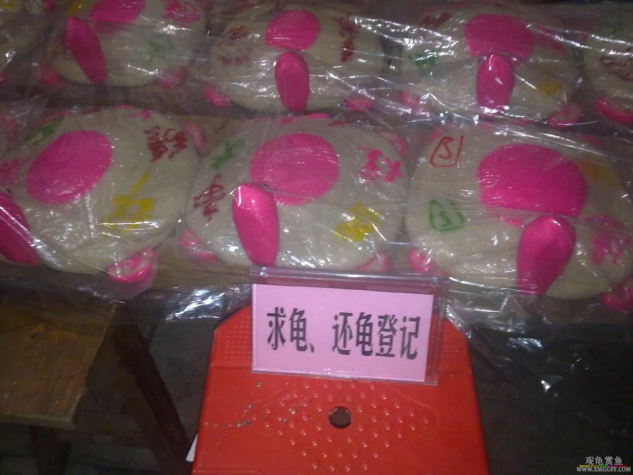 ������С 20120805814.jpg