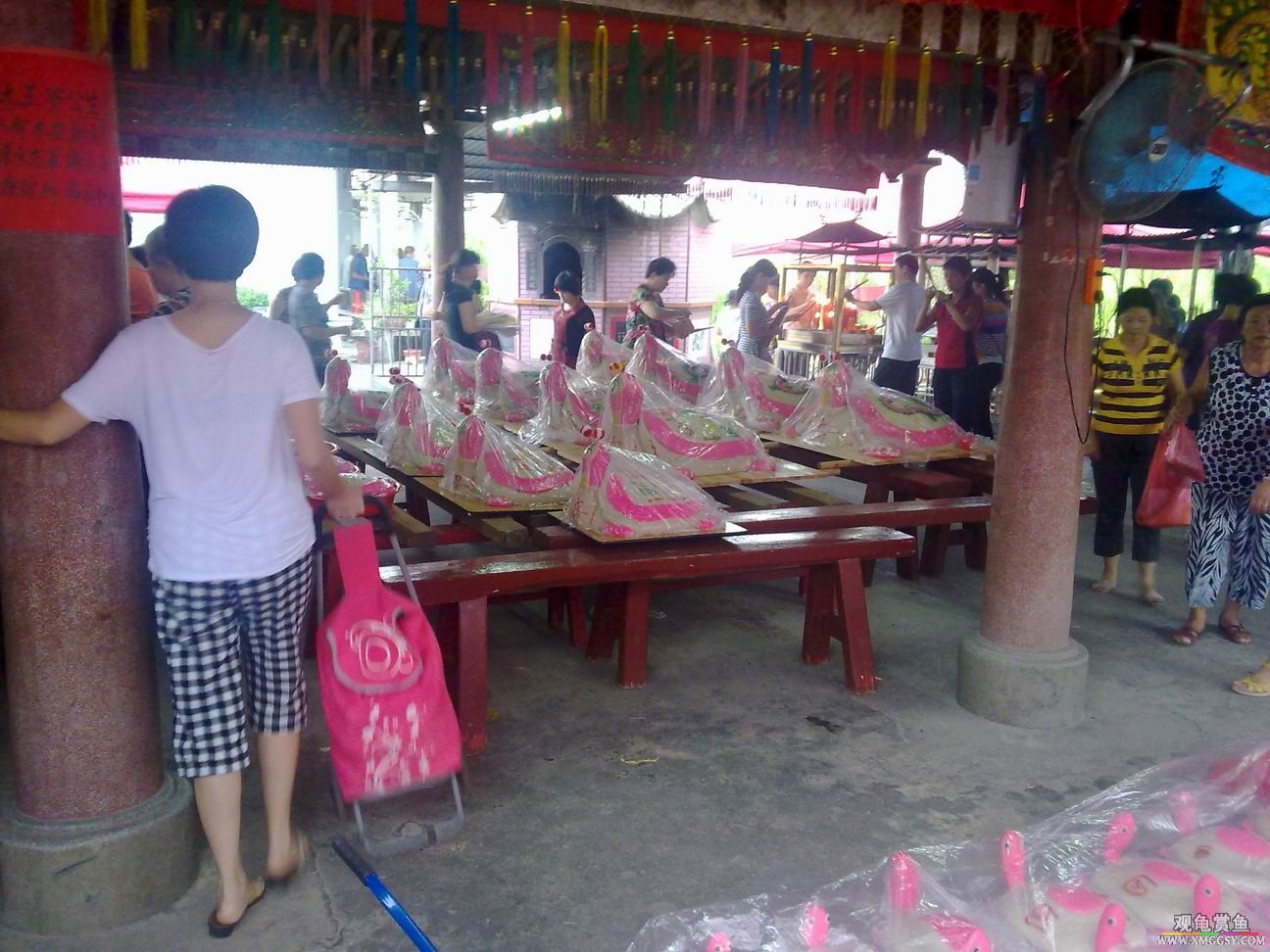 ������С 20020805797.jpg