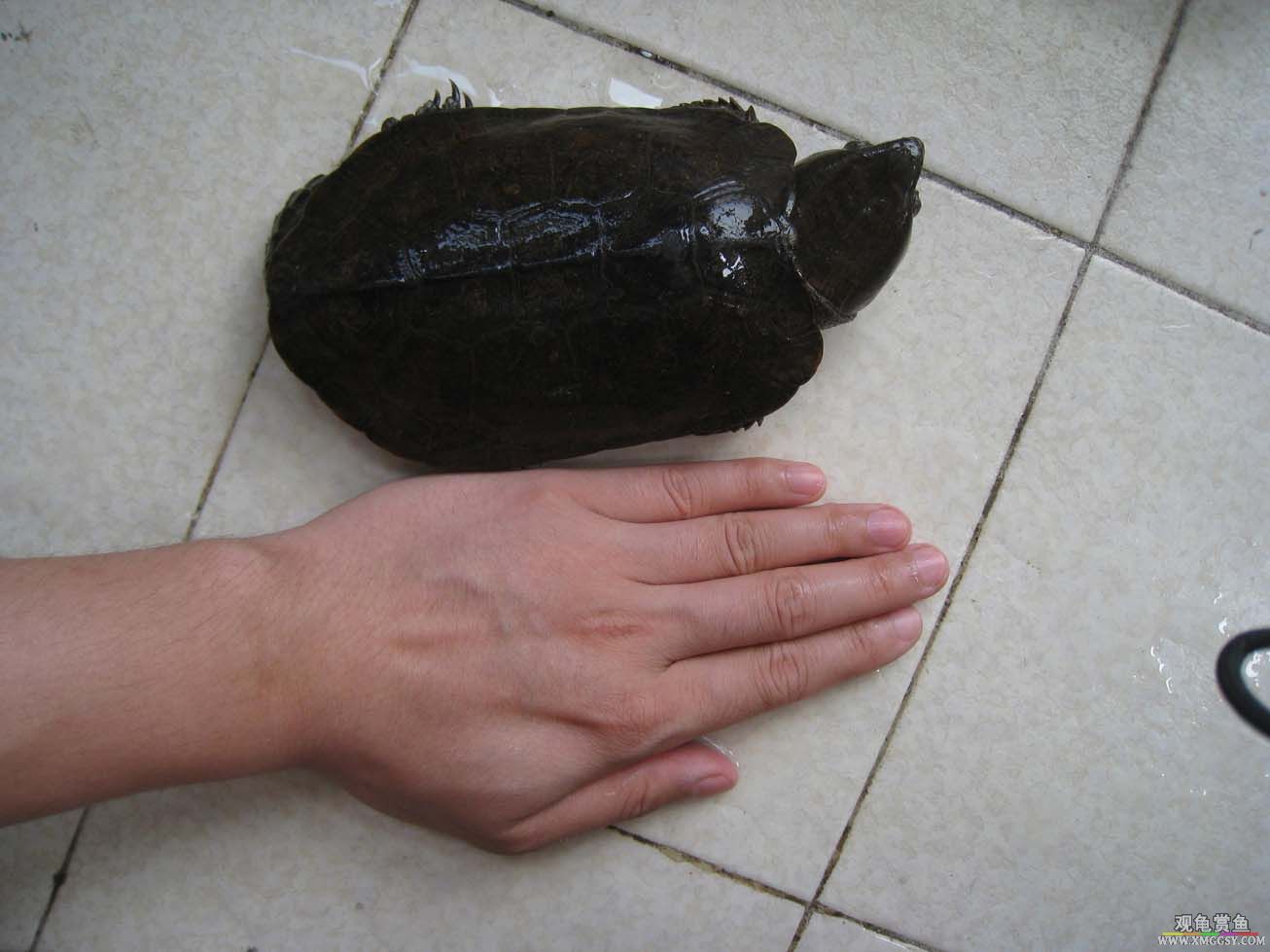 7��5.JPG