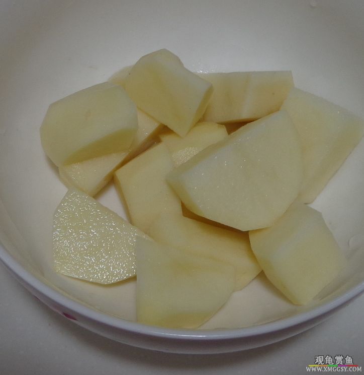 DSC02555f.jpg