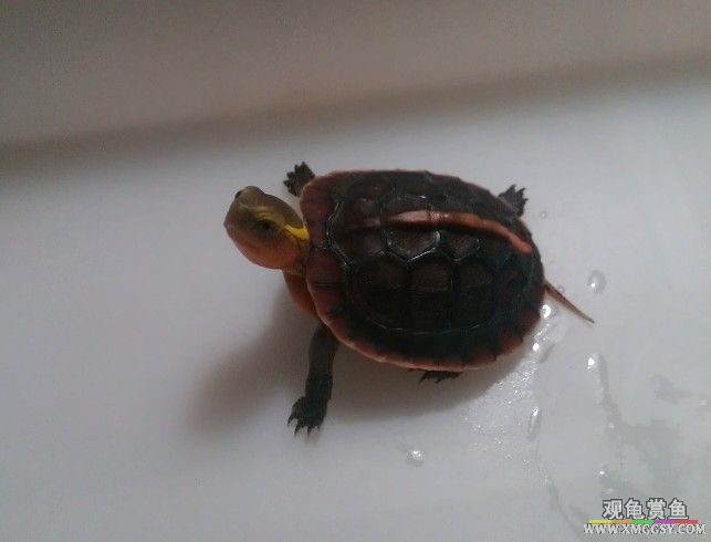 QQͼƬ20130912222611.jpg