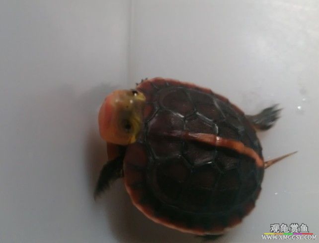 QQͼƬ20130912222608.jpg