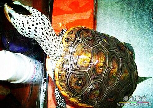 QQͼƬ20140701011634.jpg