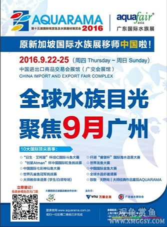 wechat С��100k01.jpg