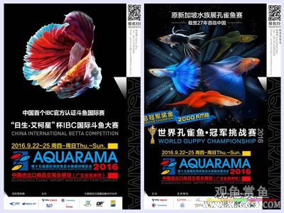 wechat С��100k02.jpg