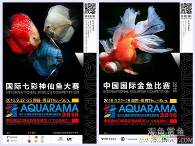 wechat С��100k04.jpg