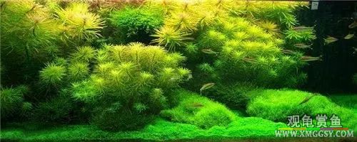 wechat С��200k06.jpg