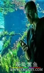 wechat С��200k07.jpg