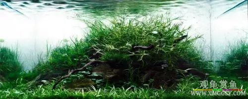 wechat С��200k08.jpg