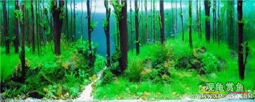 wechat С��200k10.jpg