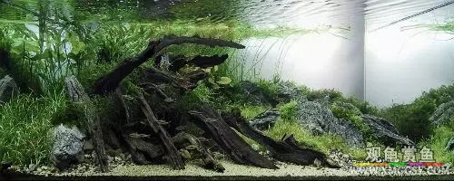 wechat С��200k12.jpg