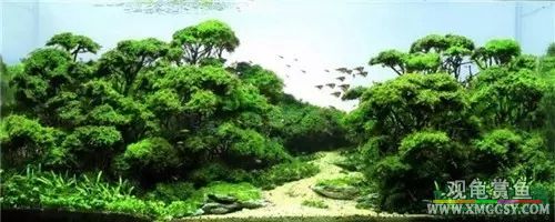 wechat С��200k14.jpg