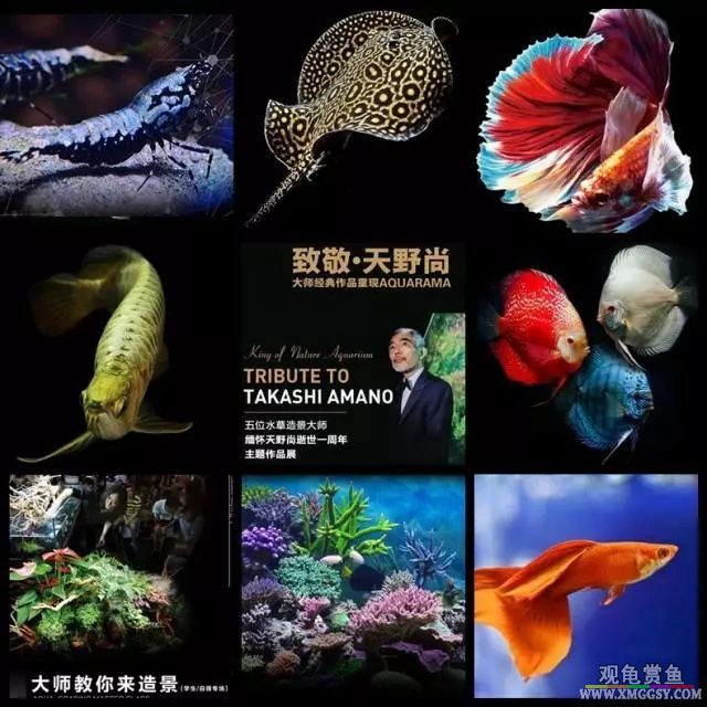 wechat С��200k07.jpg