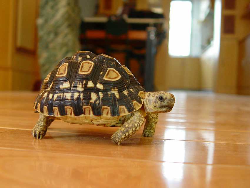 �����º�����������