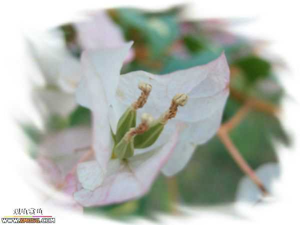 ��÷�����