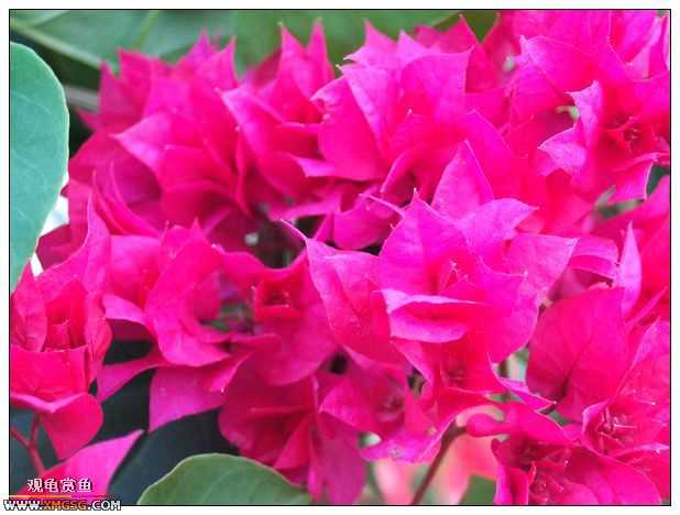 ��÷�����