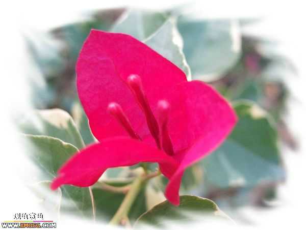 ��÷�����