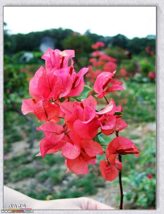 ��÷�����