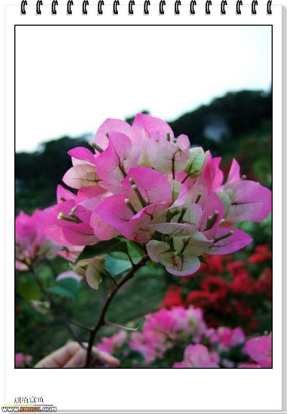 ��÷�����