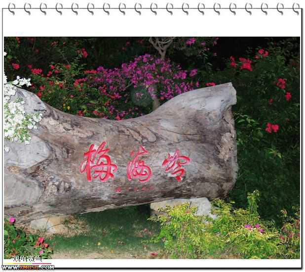 ��÷�����