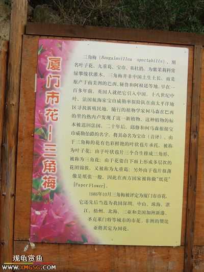 ��÷�����