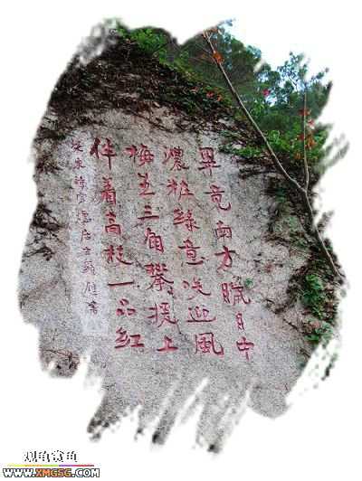 ��÷�����