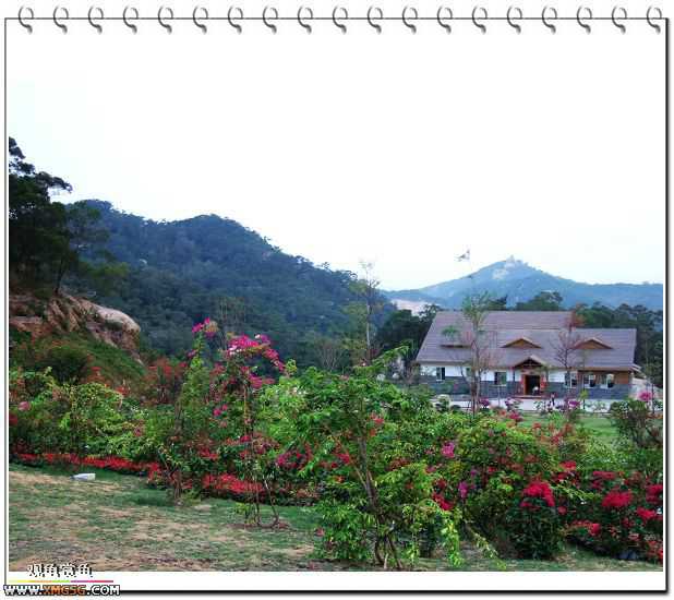 ��÷�����