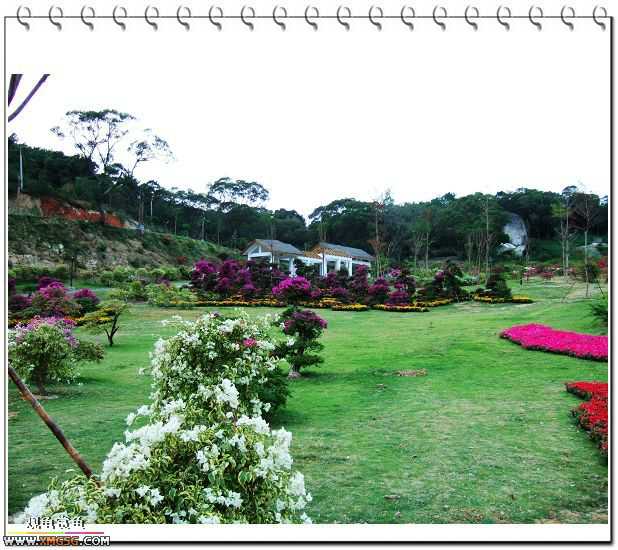 ��÷�����