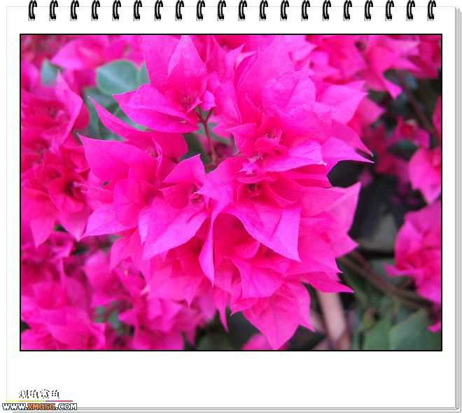 ��÷�����