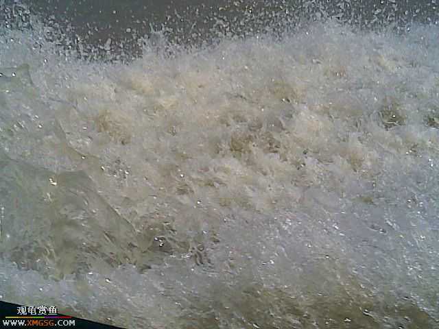 ż�ǵ������ḻ