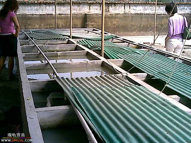 ���������С�����