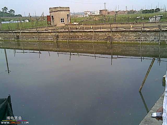 ���������С�����