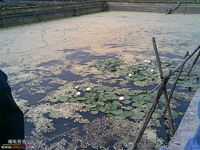 ���������С�����