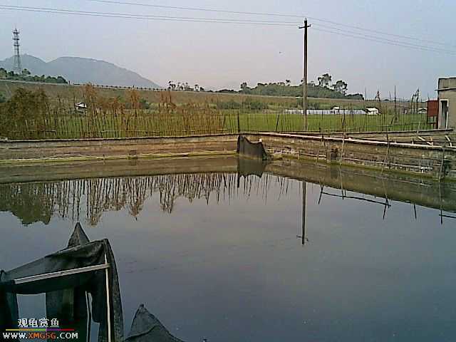 ���������С�����