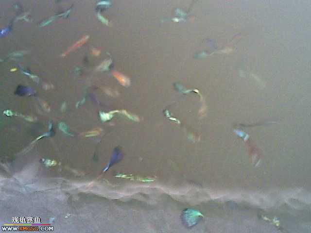 ���������С�����