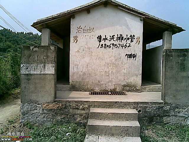 ���������С�����