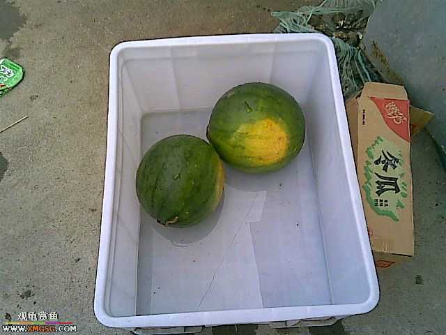 ���������С�����