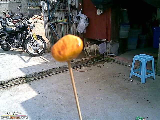 ���������С�����