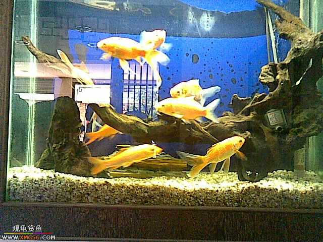 ���������С�����