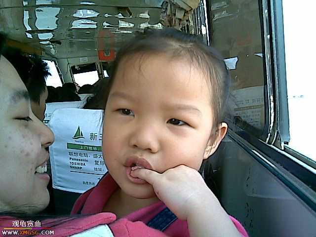 ���������С�����