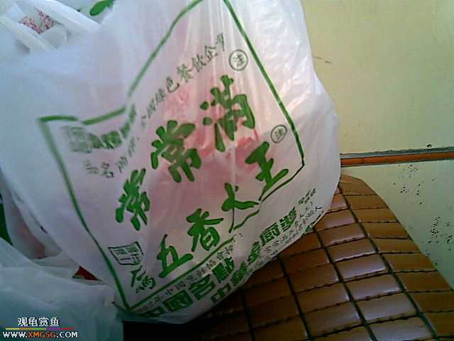 ���������С�����