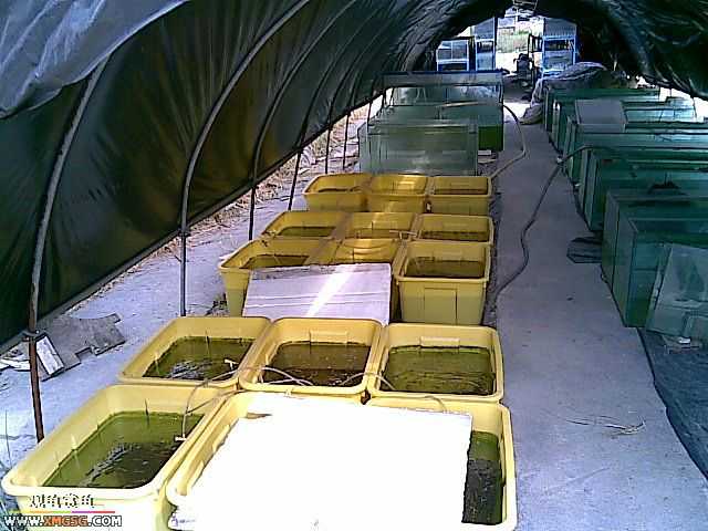 ���������С�����