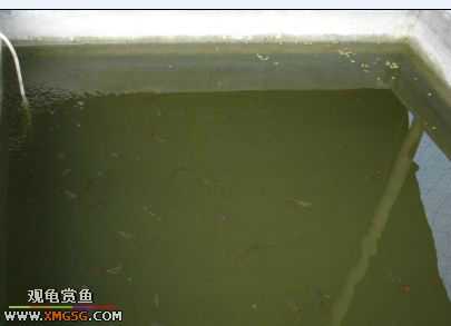 ���������С�����