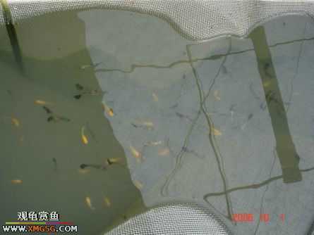 ���������С�����