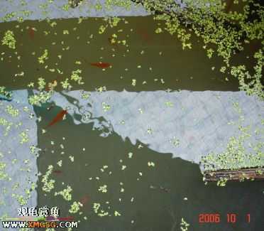 ���������С�����