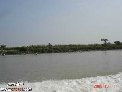 ���������С�����