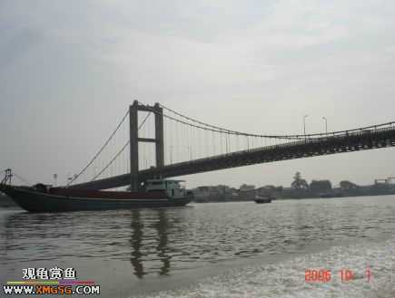 ���������С�����