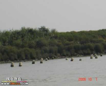 ���������С�����