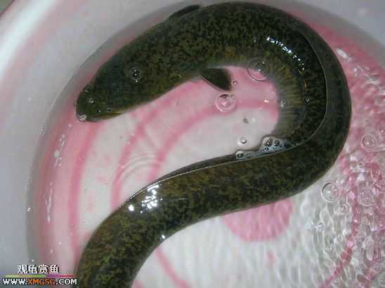 ��Ҳ²¿�����ʲô~~~~